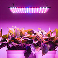 225 W Vollspektrum-LED-Wachstumslampe – ultradünnes Panel für Zimmerpflanzen, Gemüse und Blumen