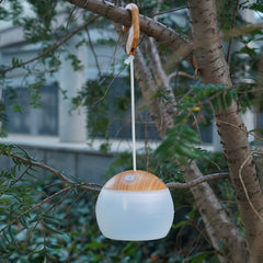 Über USB wiederaufladbare Mini-Retro-Campinglaterne mit Aufhängehaken – batteriebetriebenes Nachtlicht für Notfälle im Freien