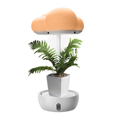 5V Cloud Shape LED Grow Light for Indoor Plants - Simulates Different Weather Conditions for Optimal Growth