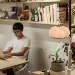 5V Cloud Shape LED Grow Light for Indoor Plants - Simulates Different Weather Conditions for Optimal Growth