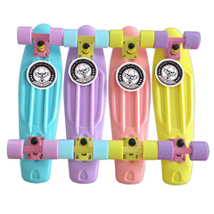 High Quality Mini Fish Long Skateboard for Outdoor Sport Street
