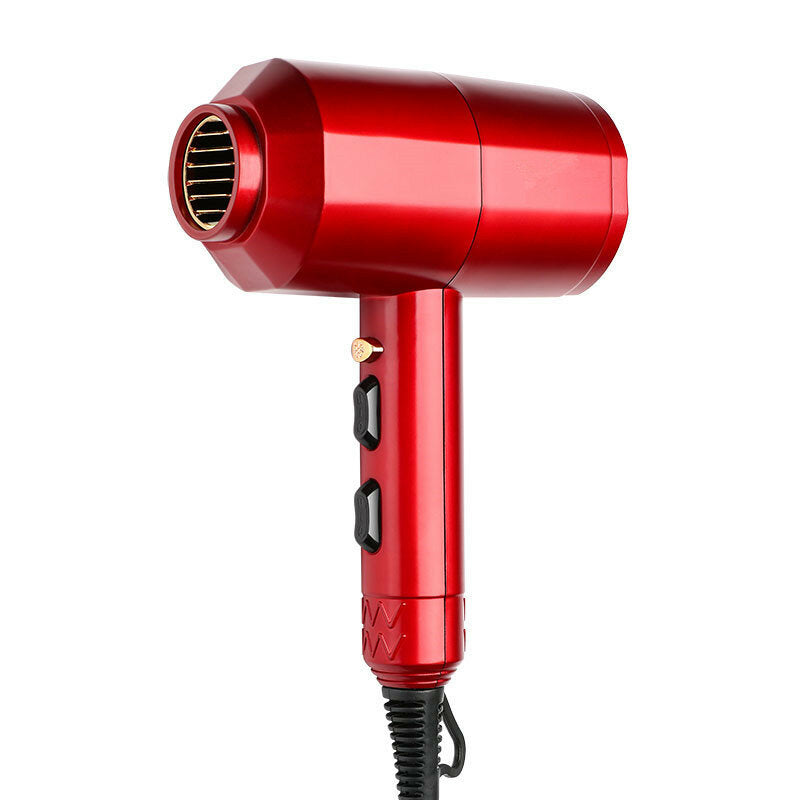 Professional High Power Electric Hair Dryer - Cold & Hot Air, Thermostatic, Home & Salon Use