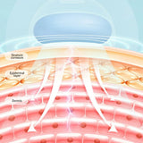 EMS V Line Face Lift Belt, Slimming Facial Shaper, Double Chin Remover, Skin Care Beauty Device