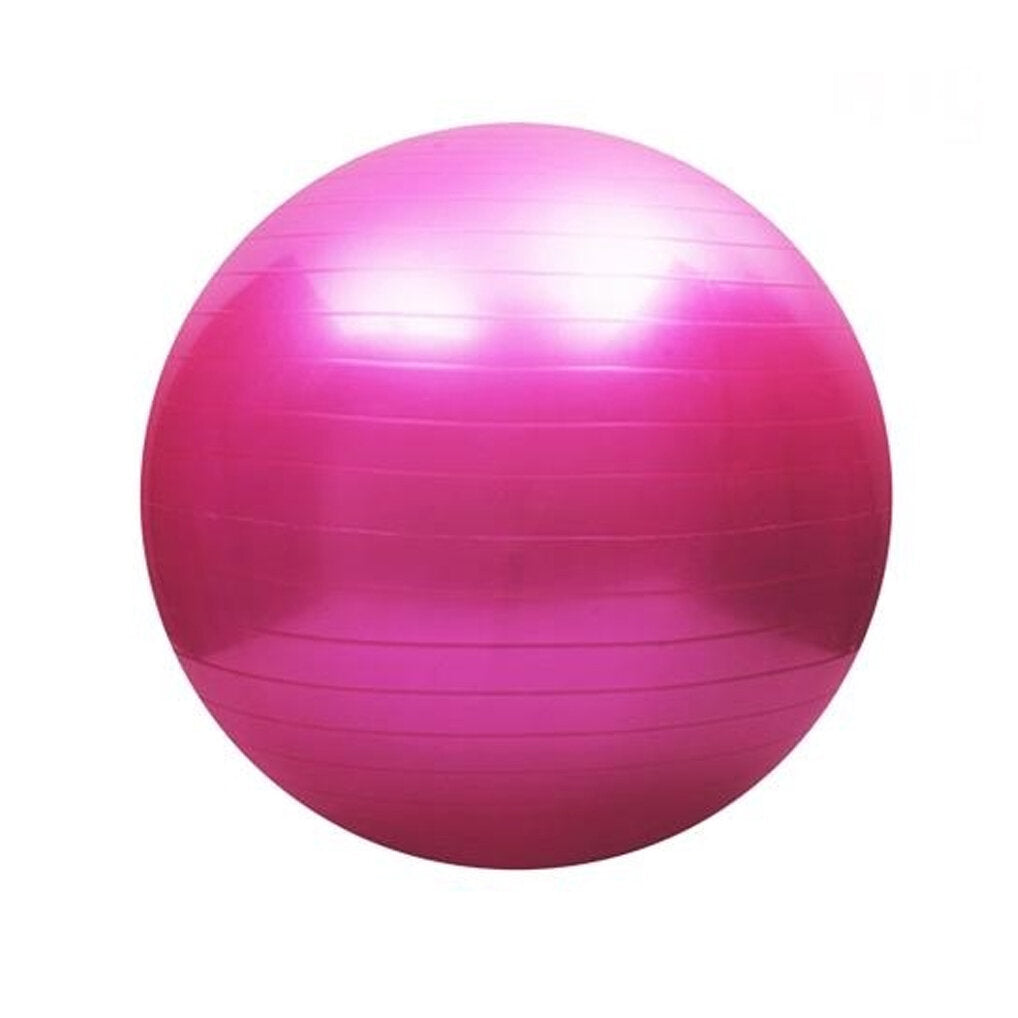 330lb Max Load Yoga Ball with Air Pump for Home Gym, Workouts, Pilates, and Fitness Training