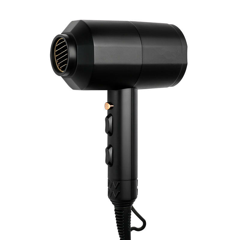 Professional High Power Electric Hair Dryer - Cold & Hot Air, Thermostatic, Home & Salon Use