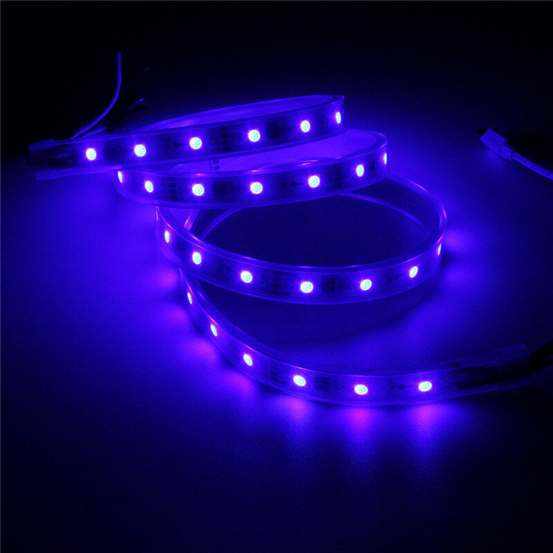 1M LED Strip 48 SMD 5050 RGB Dream Color Waterproof IP65 DC 12V