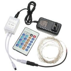 12V 10M 100 LED Silver Wire Christmas Fairy String Lights with Remote Controller and Adapter