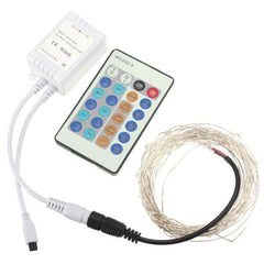 12V 5M 50 LED Silver Wire Christmas Fairy String Lights with Remote Controller, No Adapter