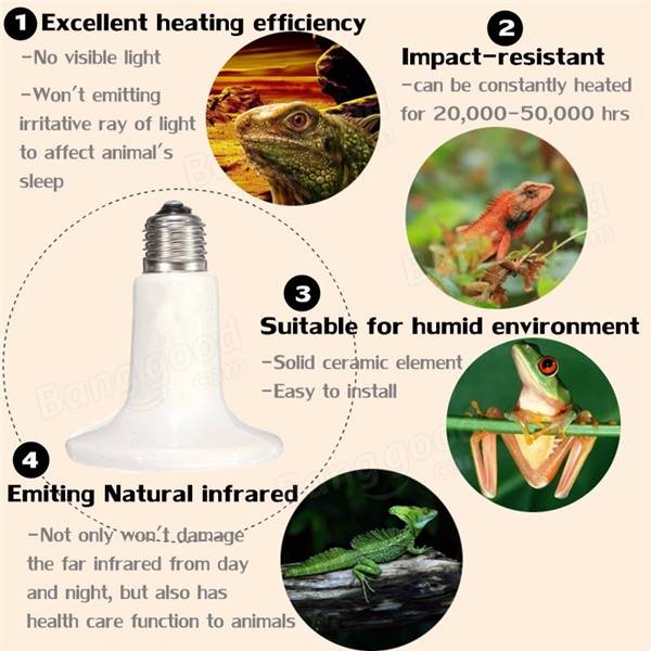 110V 60mm Pet Ceramic Emitter Heater for Reptiles - 25W/50W/75W/100W