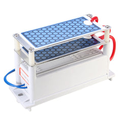 Heavy Duty 10g 10000Mg/H Ozone Generator AC110V with Blue Plates Treatment