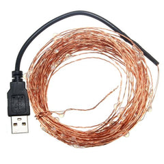 10M 100 LED USB Copper Wire Fairy Lights for Christmas Party Decor