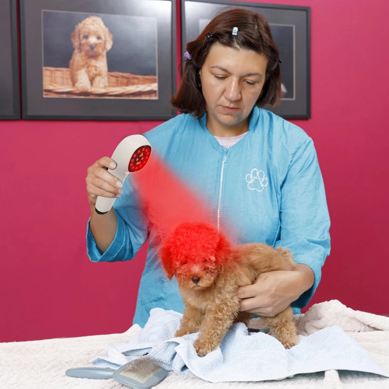 808nm Cold Laser Therapy for Dogs & Cats, Handheld Veterinary Device for Pet Joint Pain Relief & Wound Healing