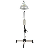 250W TDP Infrared Mineral Heat Lamp, Adjustable Height Acupuncture Therapy Light with 360° Rotating Head & Timer