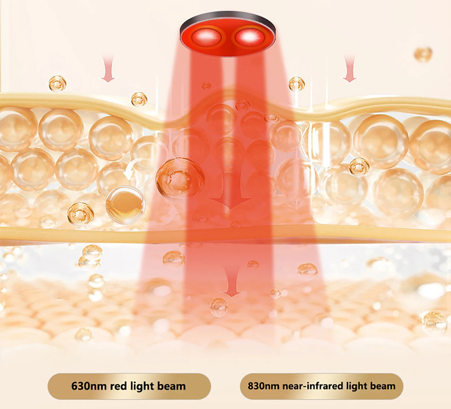 Rechargeable Red & Near Infrared LED Light Therapy Face Mask - 630nm & 830nm - 10-Minute Timer for Home & Travel Skincare