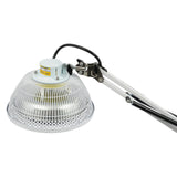 250W TDP Infrared Mineral Heat Lamp, Adjustable Height Acupuncture Therapy Light with 360° Rotating Head & Timer