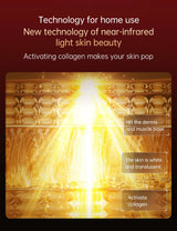320 LED Red Light Therapy Mask - 3D Silicone Face & Neck Device for Anti-Aging & Acne Care