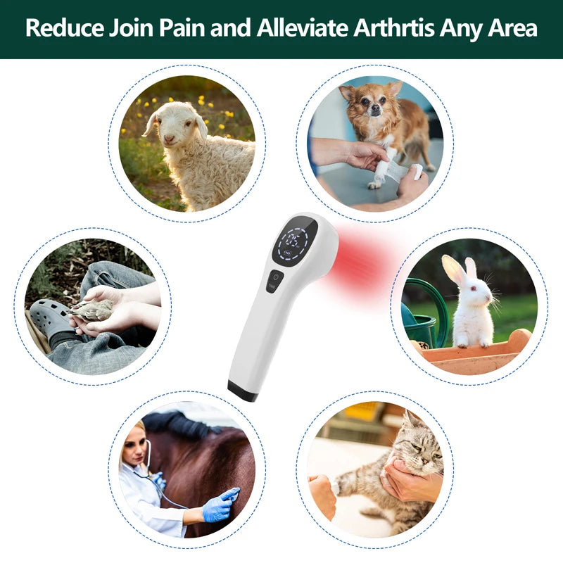 808nm Cold Laser Therapy for Dogs & Cats, Handheld Veterinary Device for Pet Joint Pain Relief & Wound Healing