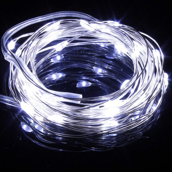 10M 100LED Copper Wire LED String Lights Lamp, Warm White/White, 12V