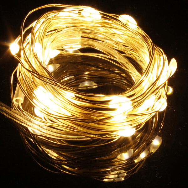 10M 100LED Copper Wire LED String Lights Lamp, Warm White/White, 12V