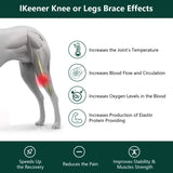 808nm Cold Laser Therapy for Dogs & Cats, Handheld Veterinary Device for Pet Joint Pain Relief & Wound Healing