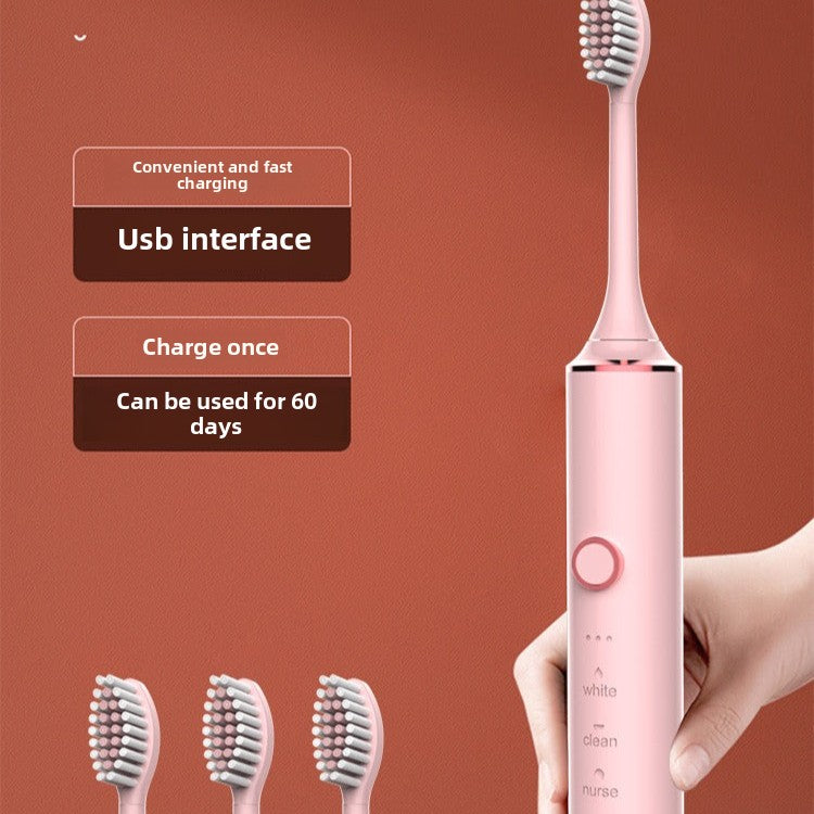 Adult Sonic Electric Toothbrush - 6 Modes, Timer, USB Charging with Replacement Heads