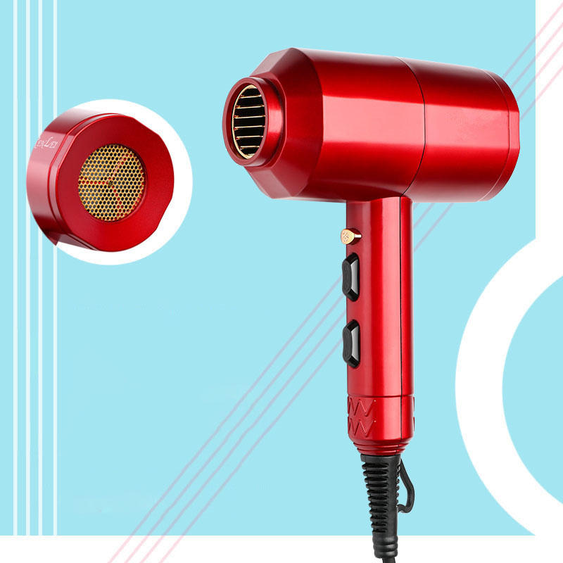 Professional High Power Electric Hair Dryer - Cold & Hot Air, Thermostatic, Home & Salon Use