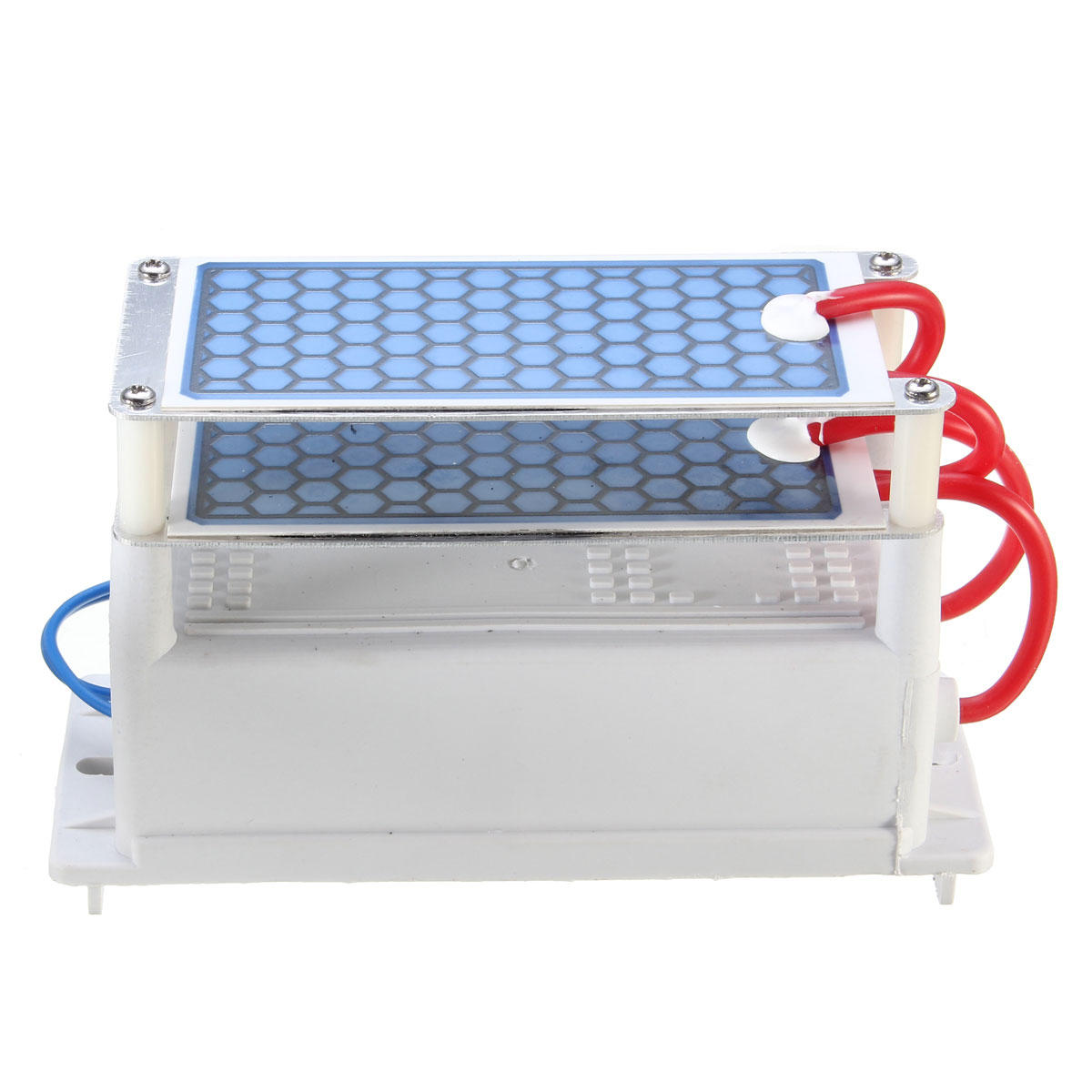 Heavy Duty 10g 10000Mg/H Ozone Generator AC110V with Blue Plates Treatment