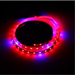 1M SMD5050 Red:Blue 5:1 Full Spectrum LED Grow Light Strip for Hydroponic Greenhouse Plants DC12V