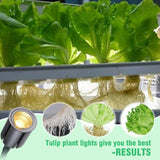 Yellow Double-Headed LED Plant Light - Full Spectrum, Three & Five-Speed Dimming