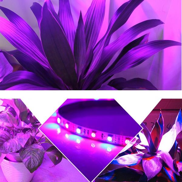 1M-5M 5050 SMD LED Grow Light Strip Non-Waterproof for Hydroponic Plants DC12V