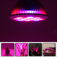 12W/24W/36W Full Spectrum LED Grow Light - 12 PCS Ultra Bulbs for All Plant Stages