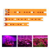 AC110V/220V 30W 50W 80W Full Spectrum LED COB Grow Light for Flood Iodine-Tungsten Lamp