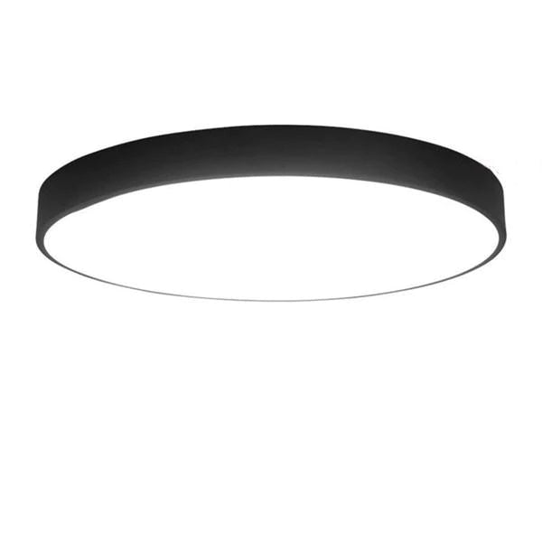 12W/18W/24W LED Ceiling Light, Warm/Cold White, Black Mount Fixture for Home, Bedroom, Living Room, 5CM