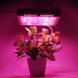 240 LEDs Full Spectrum Plant Grow Light for Indoor Greenhouse Garden - Veg & Bloom Lamp