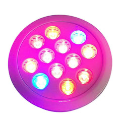 12W/24W/36W Full Spectrum LED Grow Light - 12 PCS Ultra Bulbs for All Plant Stages