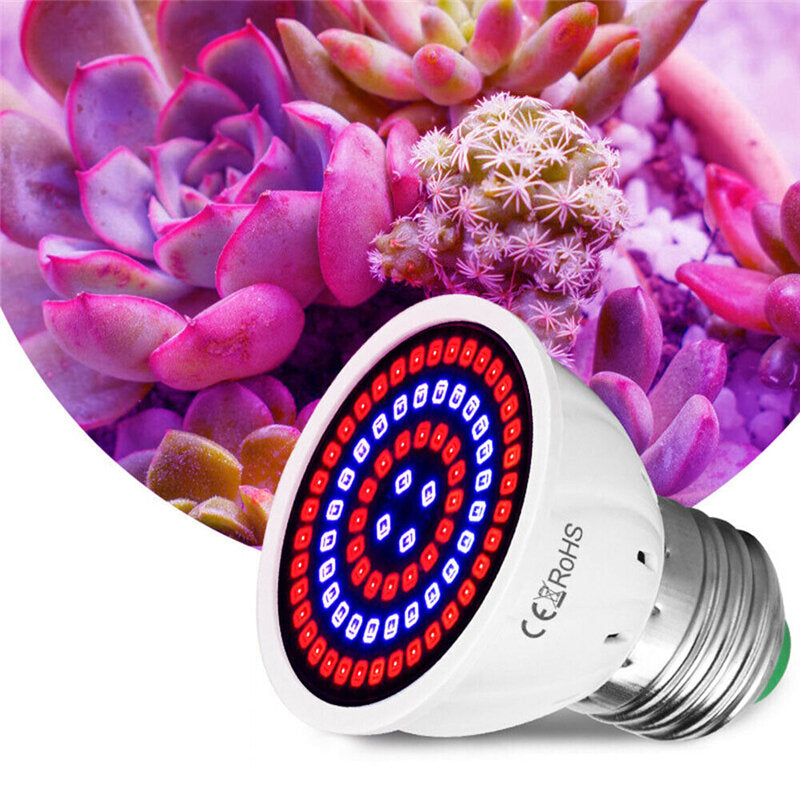 LED Plant Growth Light - 48/60/80 LED Hydroponic Grow Lamp for Indoor Veg, Bloom, Flowers, Seedlings
