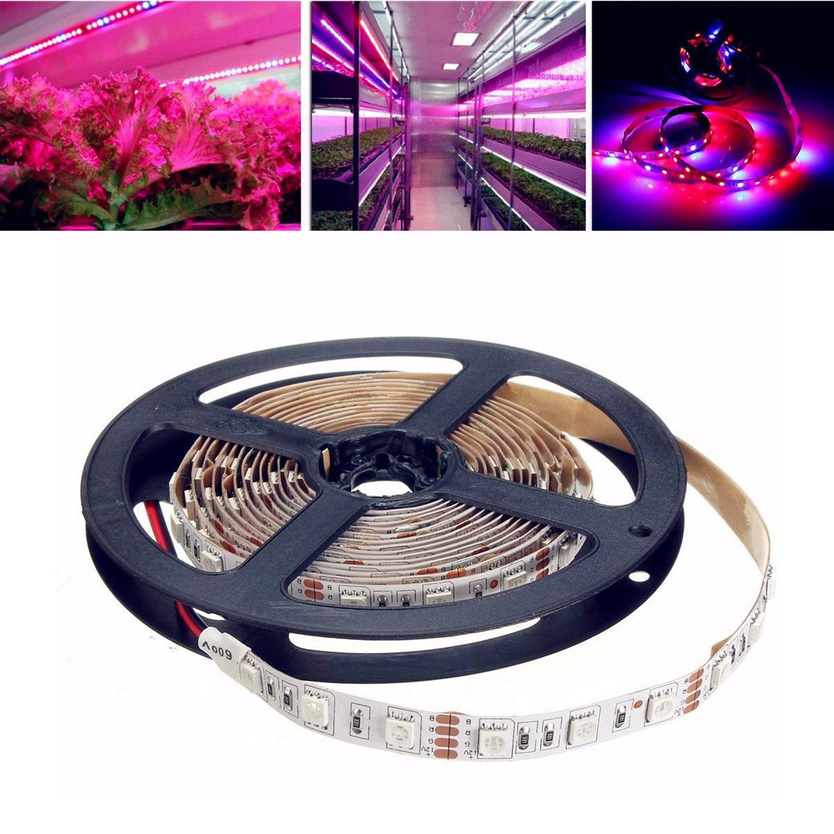 1M-5M SMD5050 LED Grow Lights, Full Spectrum, Non-Waterproof, DC12V Plant Strip Lamp