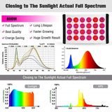 800W LED Grow Light - Multi-Spectrum, Dual Channel, Dimmable, Daisy Chain, Mute for Indoor Plants