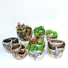 10 Styles Succulent Desktop Planter - Flower Pot, Garden Plant Holder, Home & Window Decoration