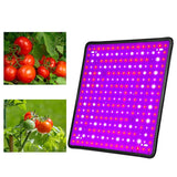 5000W Full Spectrum LED Grow Light for Indoor Hydroponic Plants and Veggies with UV Support