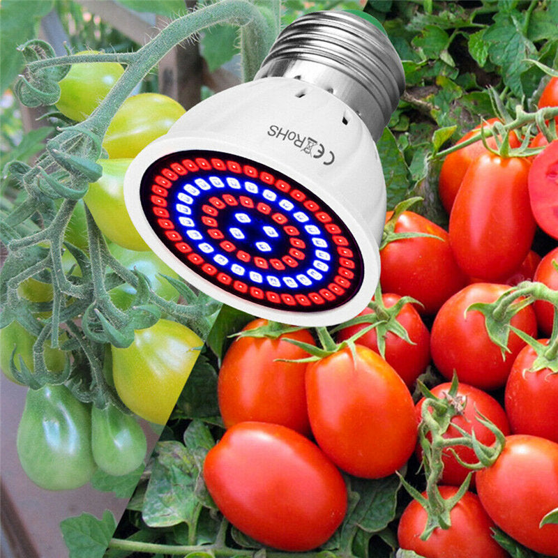 LED Plant Growth Light - 48/60/80 LED Hydroponic Grow Lamp for Indoor Veg, Bloom, Flowers, Seedlings