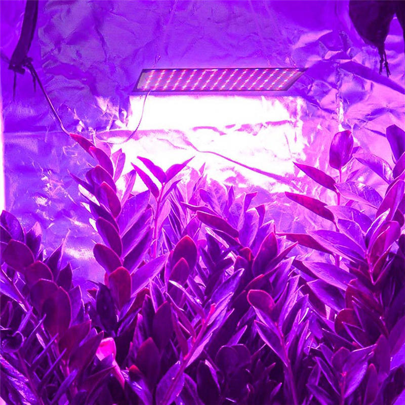 225W Full Spectrum LED Grow Light Lamp - Ultrathin Panel for Indoor Plants, Veg, and Flowers