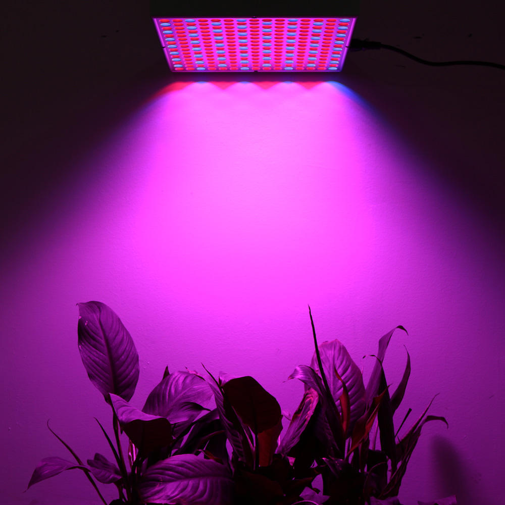 45W/200W Full Spectrum LED Grow Lights with Reflector Cup for Indoor Grow Tent, Box, Greenhouse