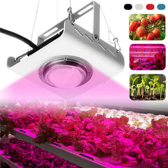 144LED COB Full Spectrum Plant Grow Light 380-800nm 4000K Hydroponic Growth Lamp