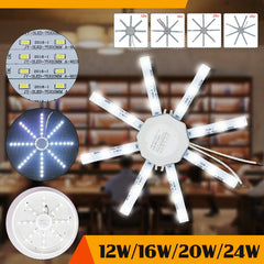 Energy-Saving LED Ceiling Lamp Octopus Indoor Light Board 220V - Available in 12W, 16W, 20W