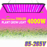 5000W Full Spectrum LED Grow Light for Indoor Hydroponic Plants and Veggies with UV Support