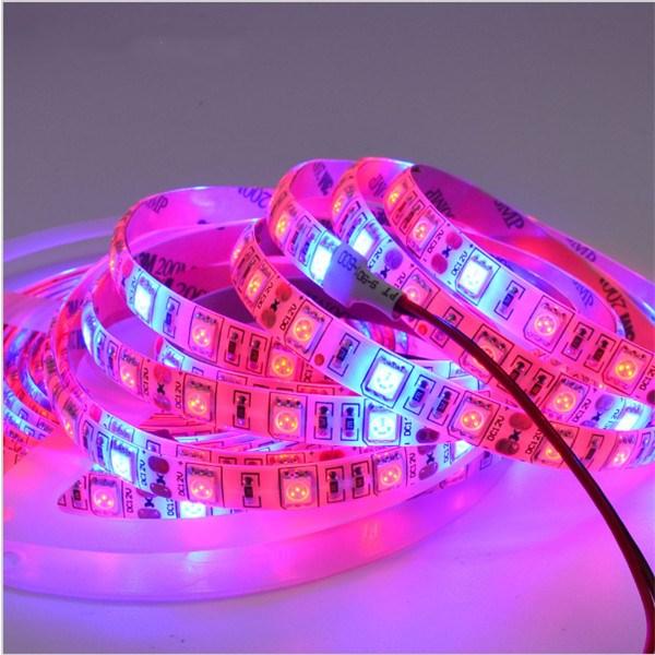 5M 5050SMD 300LED Red/Blue Hydroponic Grow Light Strip DC12V Non-Waterproof 3:1/4:1/5:1