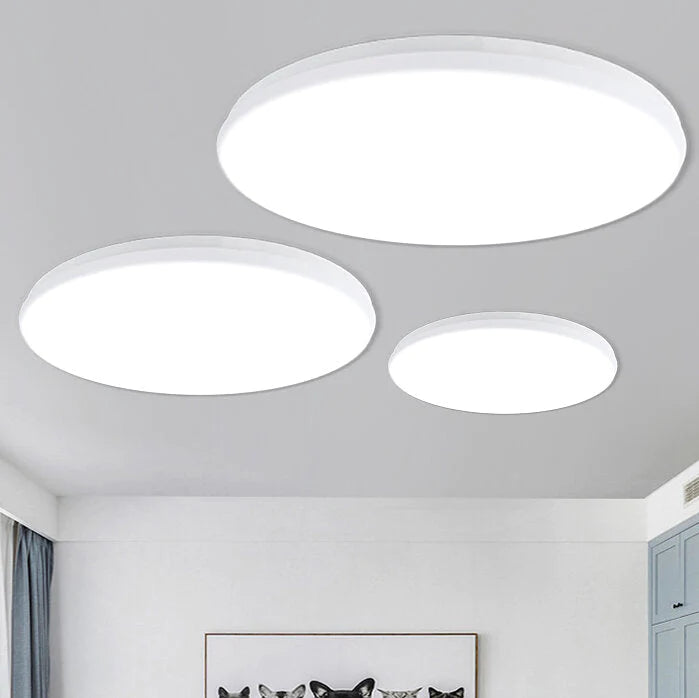 220V Voice Control LED Ceiling Light, 12/18/24W Ultra Thin Flush Mount, Round for Kitchen