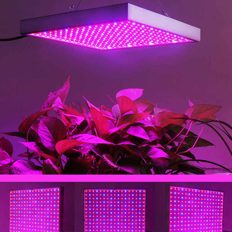 60W LED Grow Light for Indoor Plants, Veg & Flowers - AC85-265V, 289 LEDs