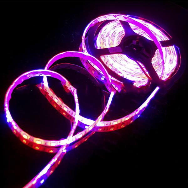 5M 5050SMD 300LED Red/Blue Hydroponic Grow Light Strip DC12V Non-Waterproof 3:1/4:1/5:1